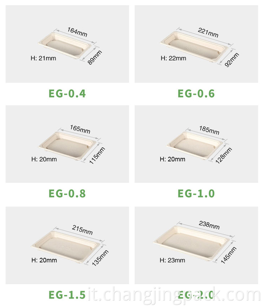 Bagasse Food Container